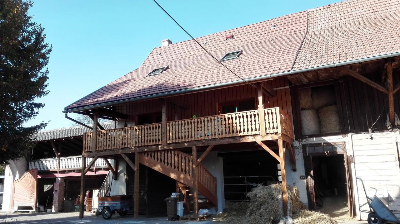 Chez Marguerite Gites A La Ferme Horbourg-Wihr Exterior photo